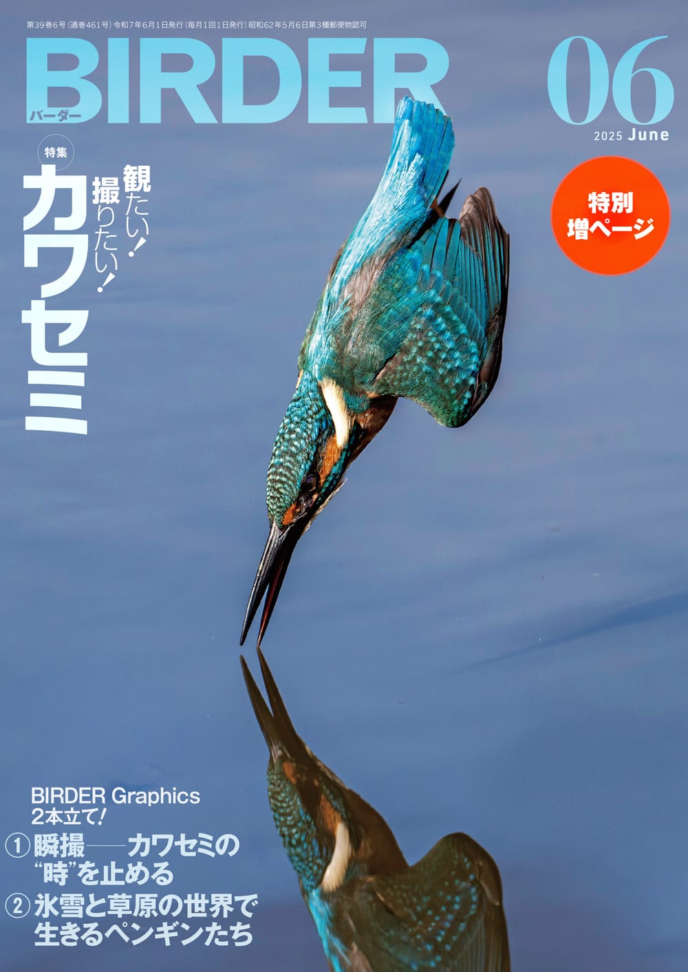 BIRDER（バーダー） 2025年6月号