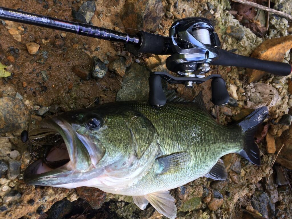 ダイワ／ハートランド722MRB-20をインプレ | 琵琶湖バスライフ