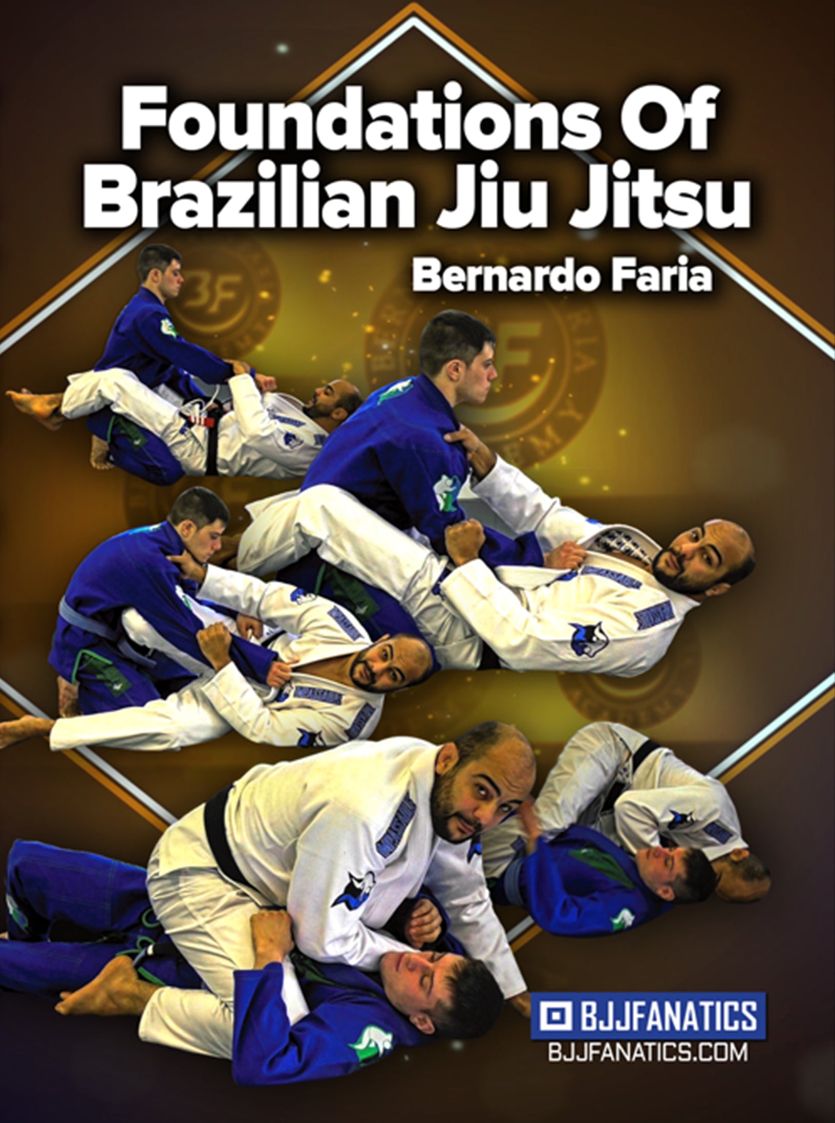 Foundations of Brazilian Jiu Jitsu by Bernardo Faria – BJJ Fanatics
