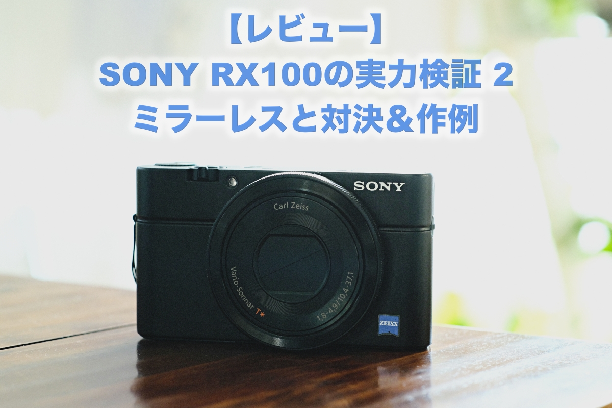 レビュー SONY RX100の実力2 ミラーレスと比較 作例 | USEFUL FOR LIFE