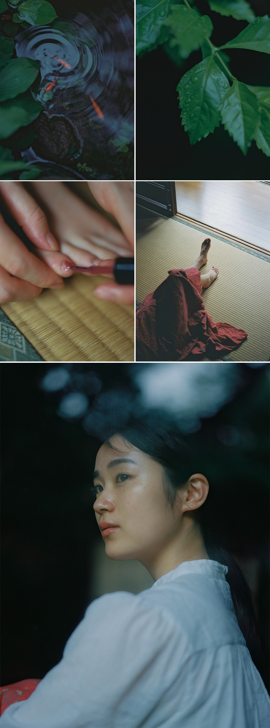 大林直行写真展「おひか」開催のお知らせ | BOOK AND SONS