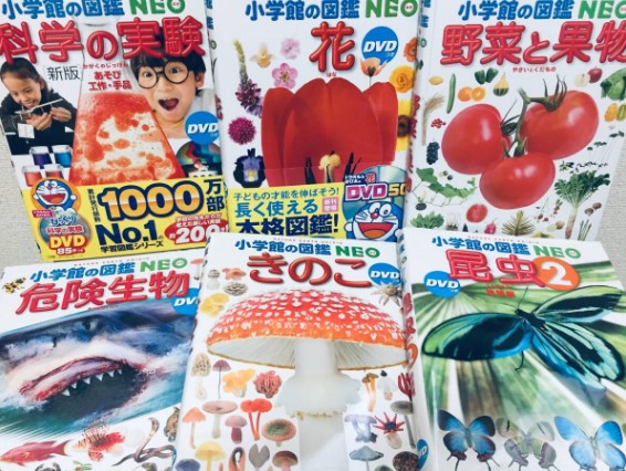 児童書 買取 世田谷区 ｜小学館の図鑑NEO 12冊セットを高価買取しま