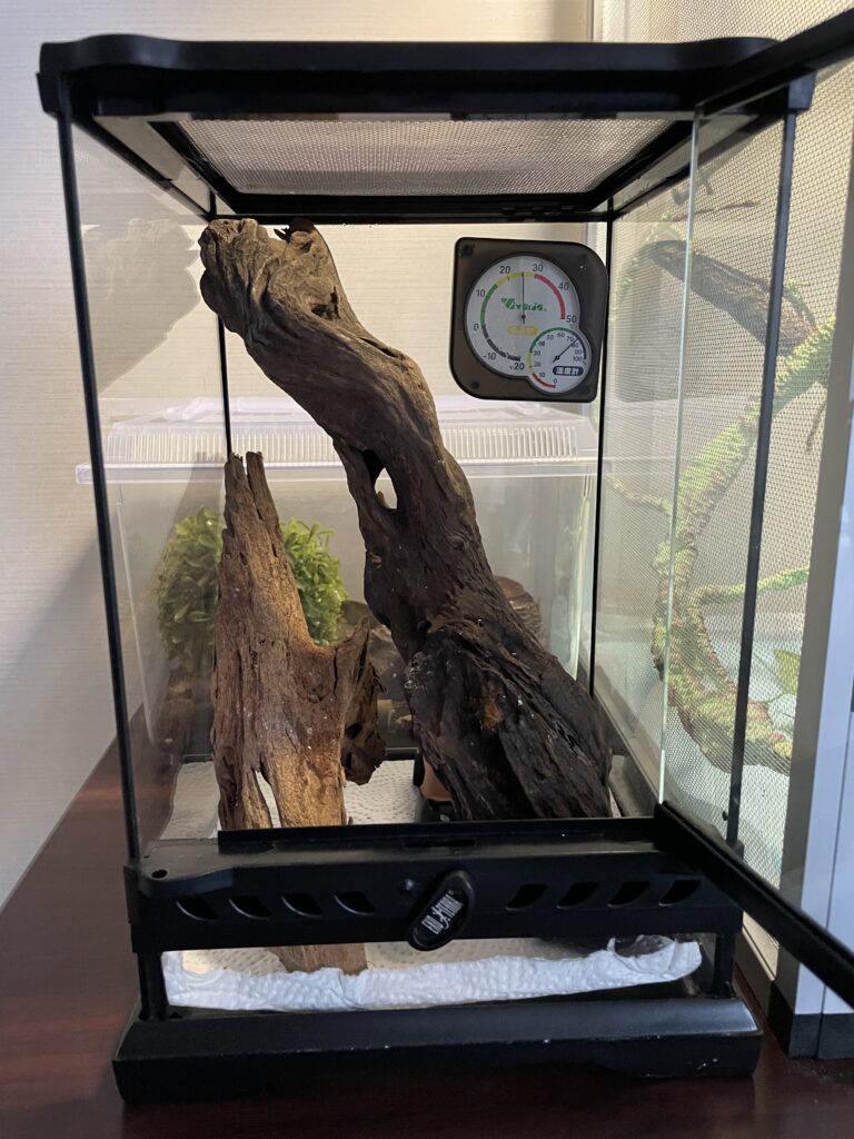 ヤモリの飼育環境/レイアウト パート2（グレードアップ版） | ぶっ