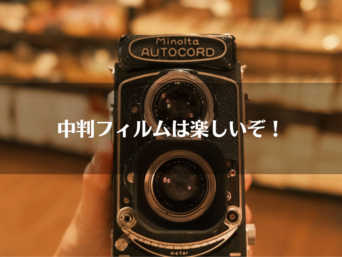 中判フィルムはじめませんか。 | BORN SURE blog