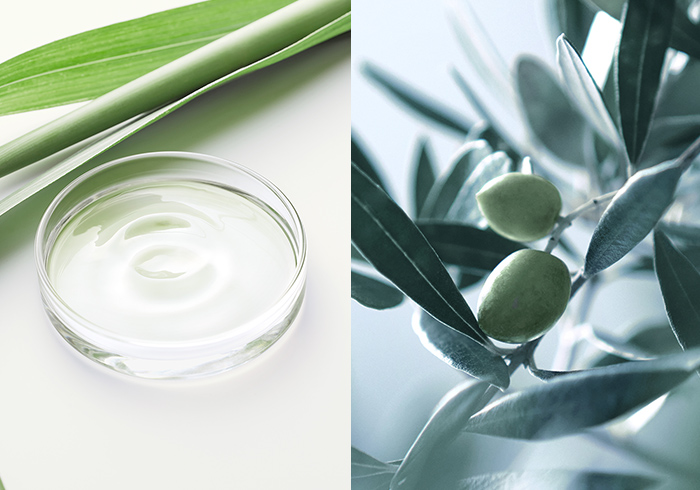 ディープモイスト］ボディーソープ | 【公式】BOTANIST [ボタニスト]