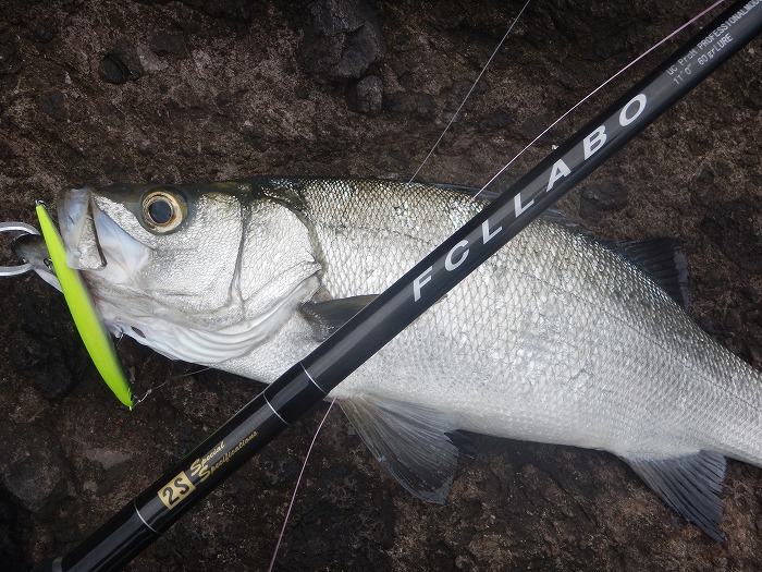 FCLLABO UC11 2S ファーストインプレッション③ - 三十にして立ち、四