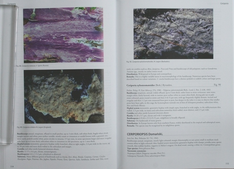 Poroid fungi of Europe 2nd Edition」（ヨーロッパの管孔をもつ菌類