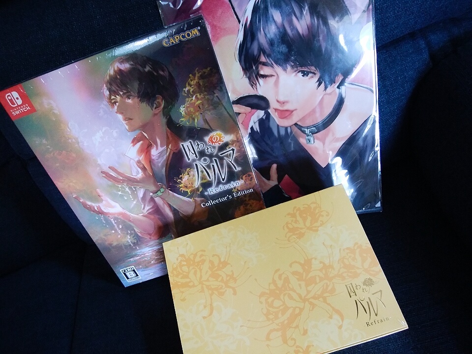 囚われのパルマ ハルト アオイ チアキ クリアファイル 特典 カプコン