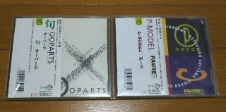 電子降る日記 I AM ONLY MY MODEL 星野 菫 DIW/SYUN全作品紹介