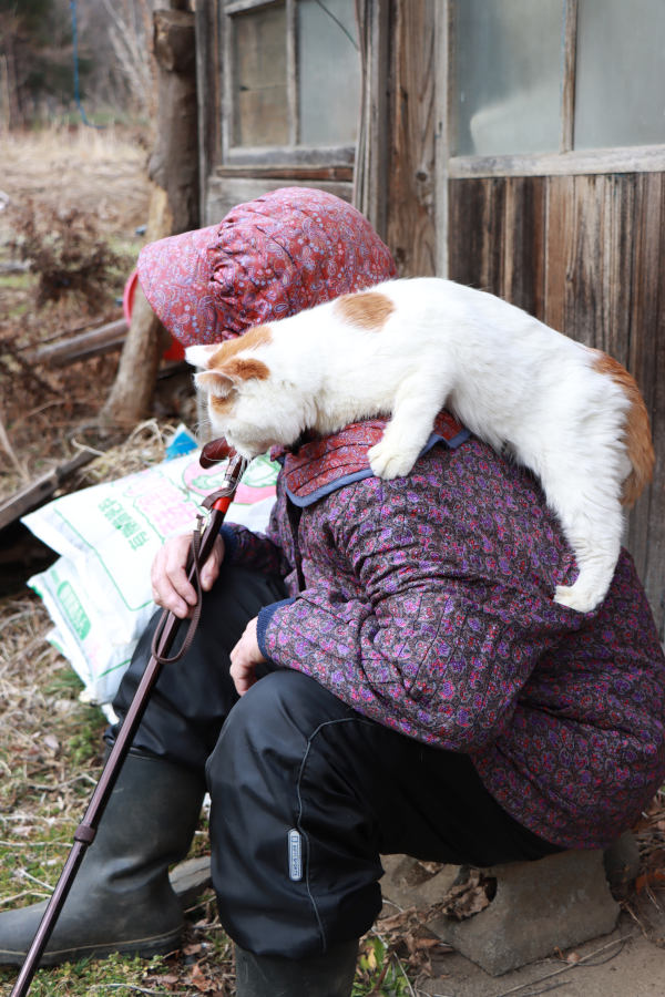 ねこを肩に乗せてさんぽ | かご猫 Blog