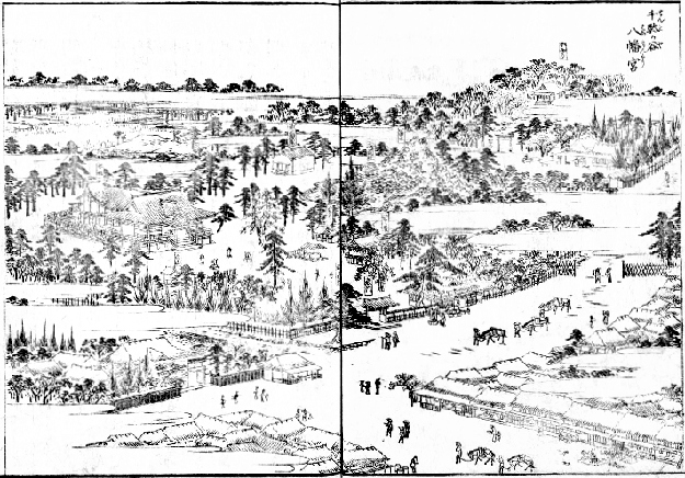 歴史探訪と温泉： 鳩森八幡神社