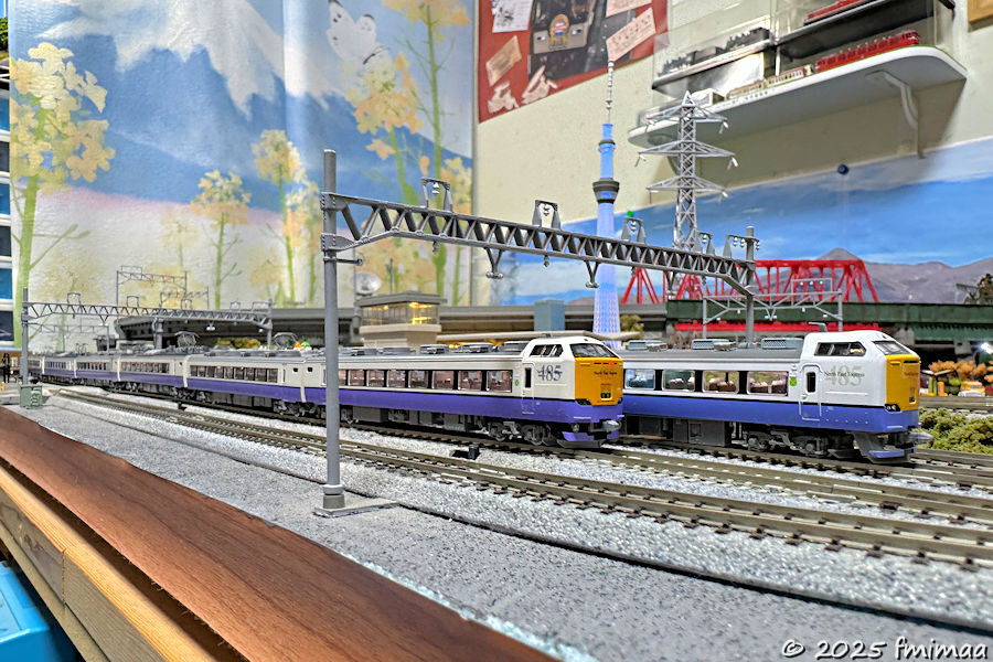 485系3000番台「白鳥」 TOMIX vs MicroAce - ナマケモノ写真館