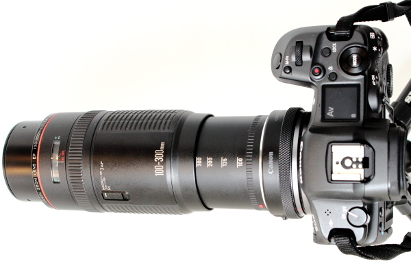 Canon EF100-300mm F5.6L レビュー - 我がカメラこそ我が意志