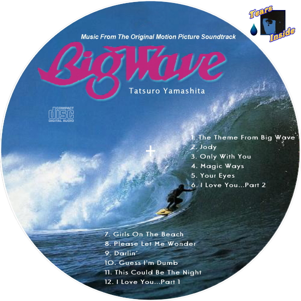 新品未開封 廃盤 DVD BIG WAVE ビッグ・ウェイブ 山下達郎 BIG WAVE