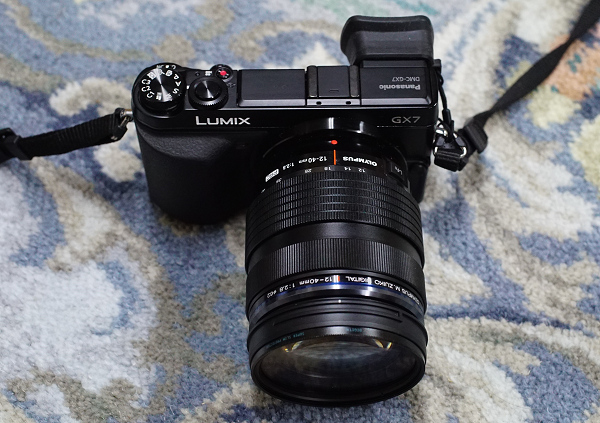 M.ZUIKO DIGITAL ED 12-40mm F2.8 PRO with GX7 ～画角とボケ その2