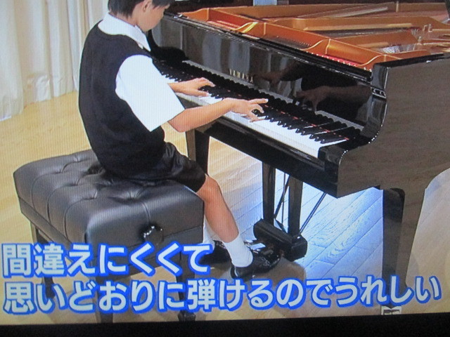 ピアノの演奏専門のシューズ 本番用（ピアノシューズ）】リトル