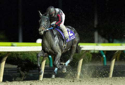 岩手競馬のレース・イベント情報 テシオブログ｜地方競馬ならオッズ