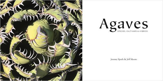 Agaves SPECIES, CULTIVARS & HYBRIDS 洋書 Agaves, species, cultivars, & hybrids 2nd Ed. – Hidden Agave