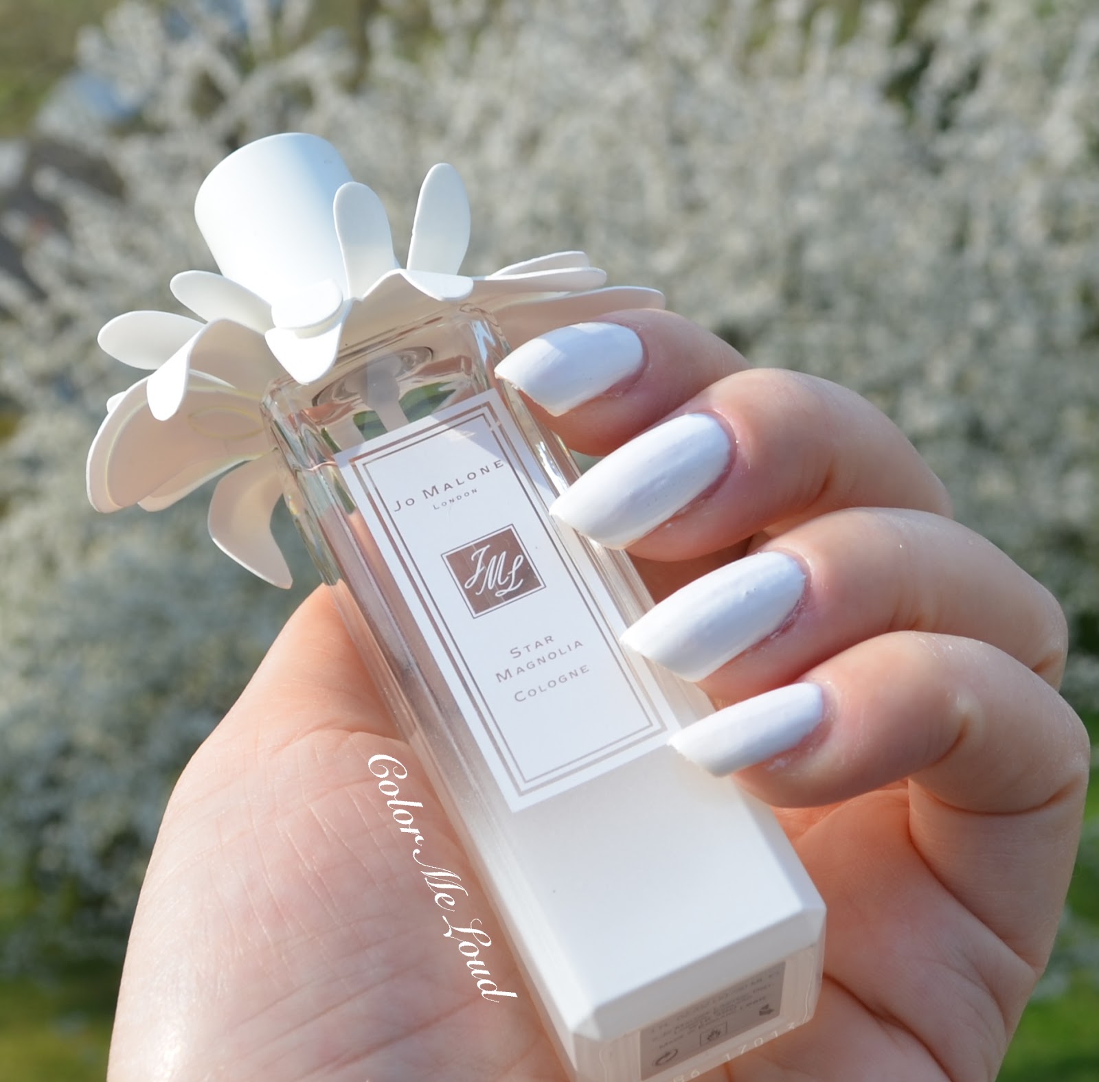 Jo Malone London Star Magnolia Review | Color Me Loud