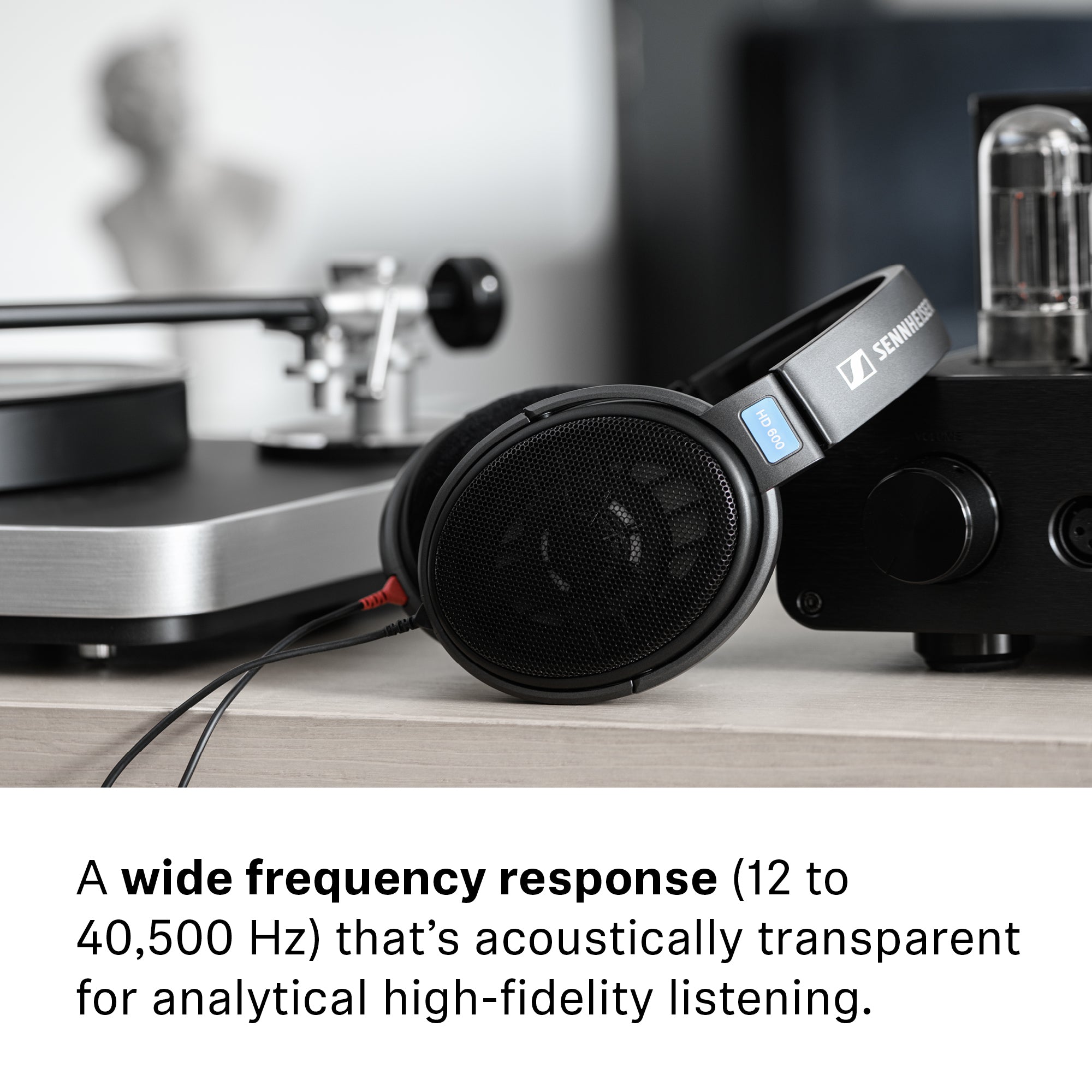 Sennheiser HD600 | Bloom Audio