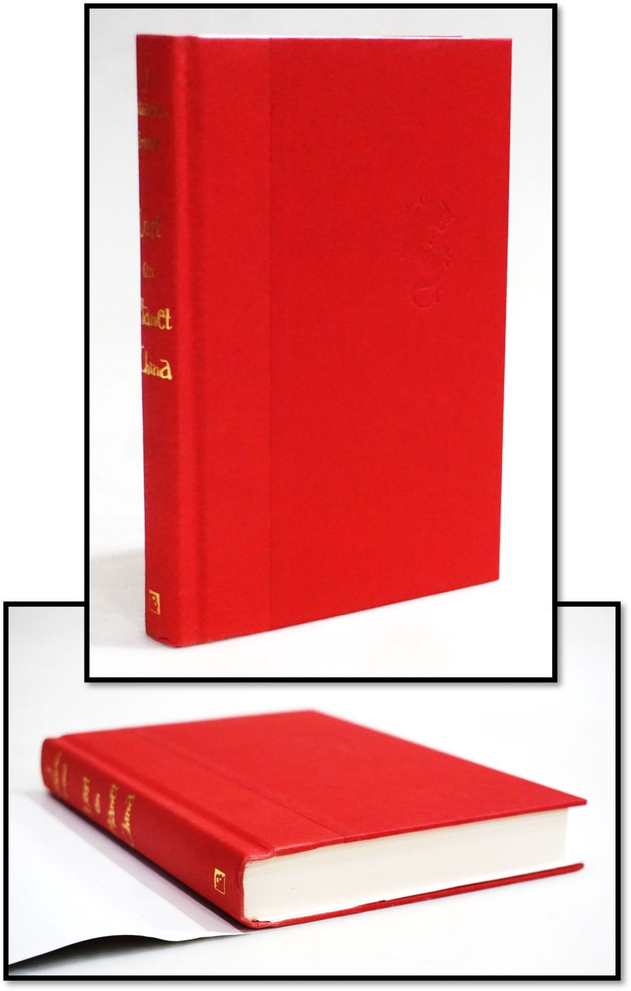 Lost On Planet China: The Strange and True Story of One Man's