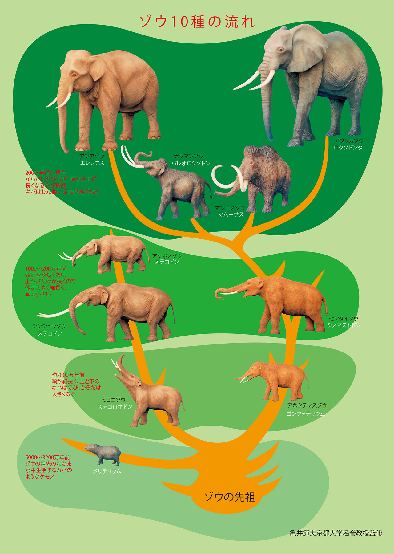 ぞう | 西尾製作所