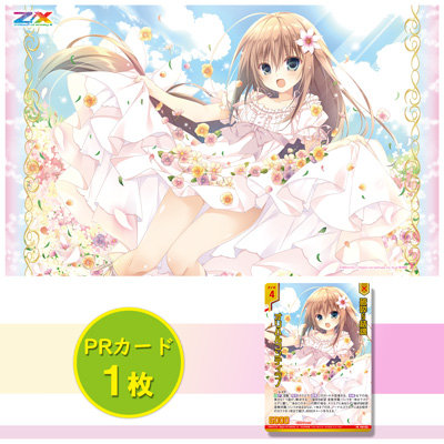 ゼクストリーム 2024 SUMMER: ：【公式】ブロッコリーグッズの通販