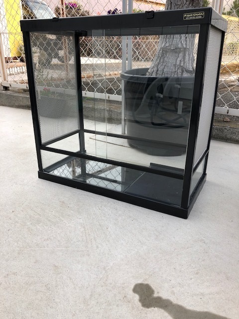 爬虫類ケージ6060 店頭渡し限定！ - 群馬 ペットBRAND【買取 販売