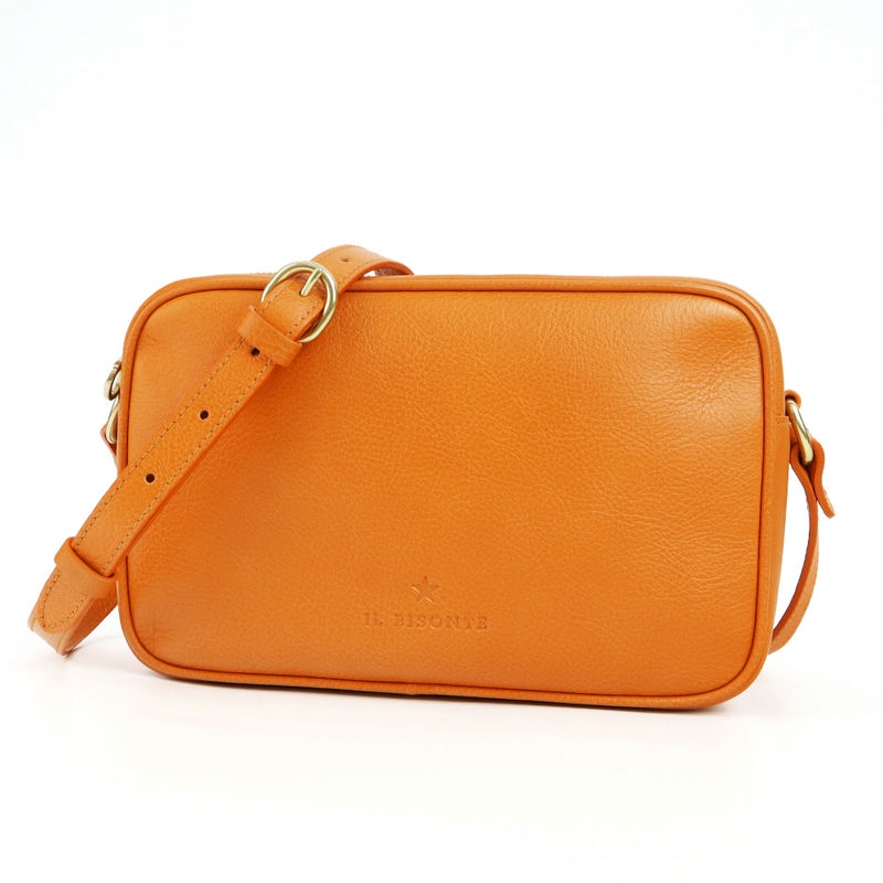 Brandol / IL BISONTE イルビゾンテ ショルダーバッグ レザー カメラ