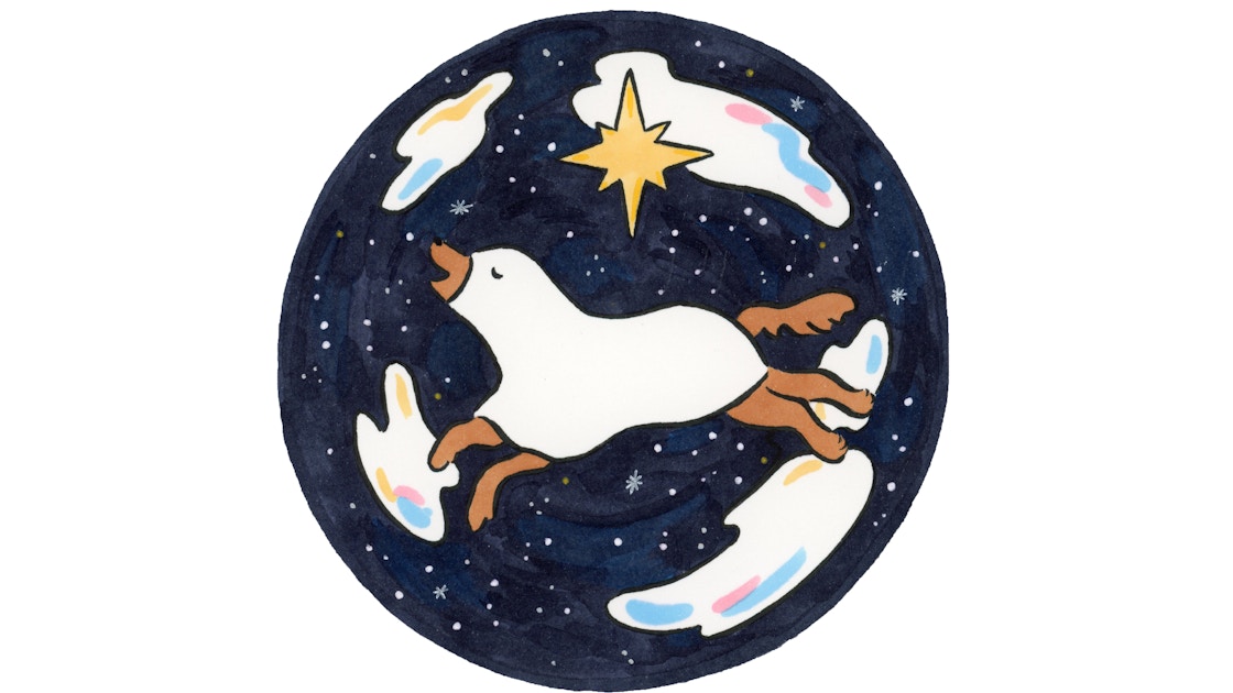 foxcoの個展「The Longest Night」がスパイラルガーデンで開催