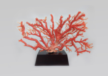 福岡の象牙・珊瑚・翡翠 買取 | 骨董品・美術品の高価査定・出張買取