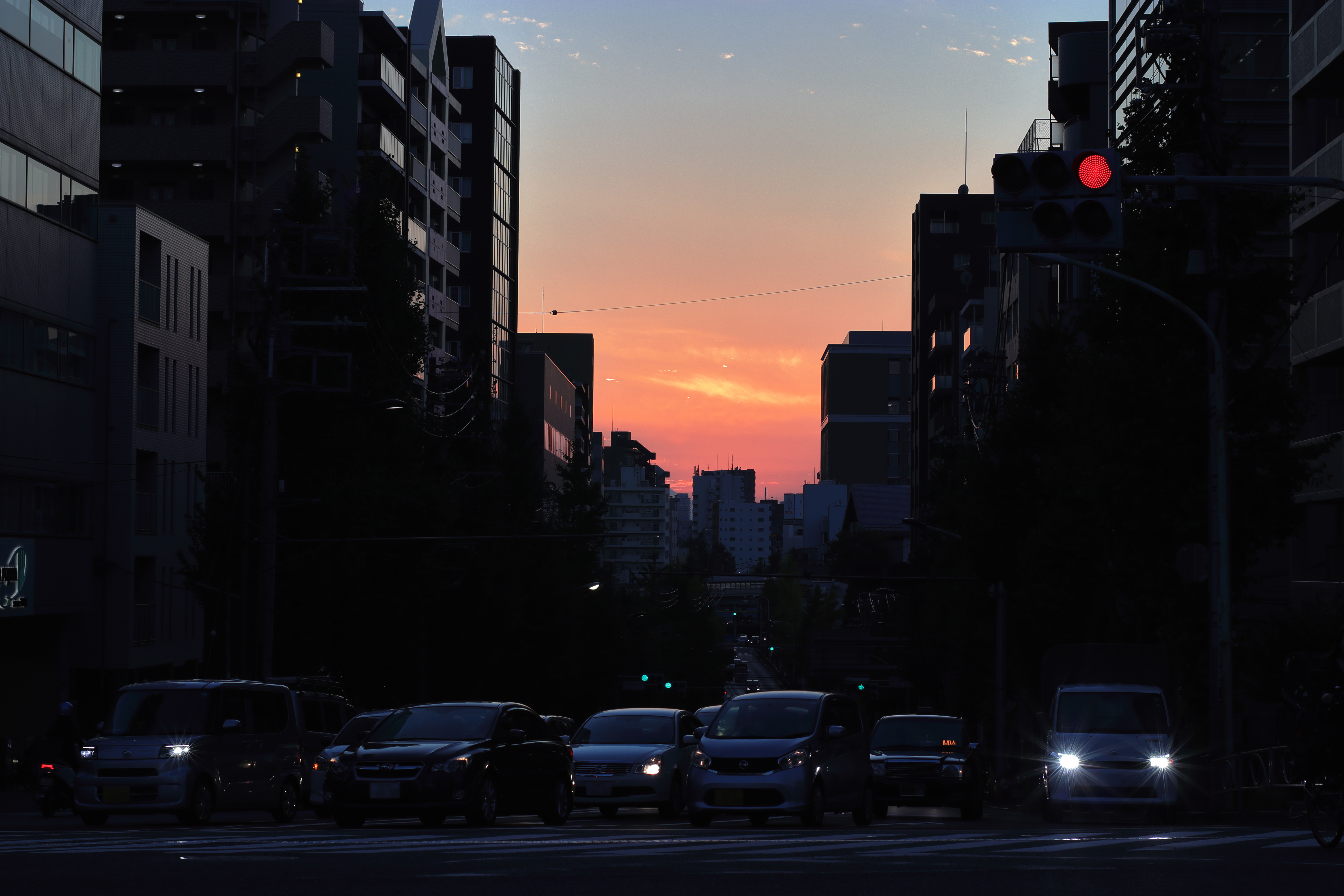 レンズ沼】Nikon Ai Nikkor 50mm F1.4 (1977年) レビュー（Canon一眼