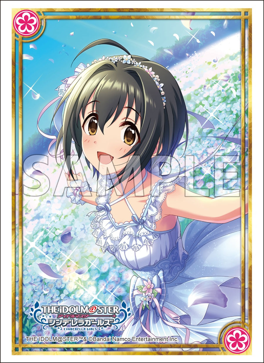 06__ver._sample_900x.jpg?v=