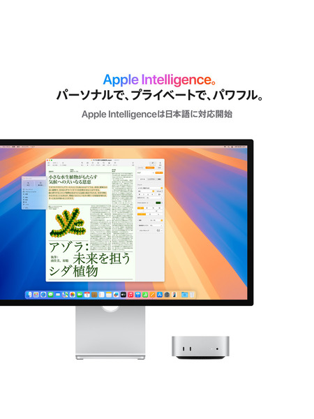 Mac mini: 10コアCPUと10コアGPUを搭載したApple M4チップ｜C smart