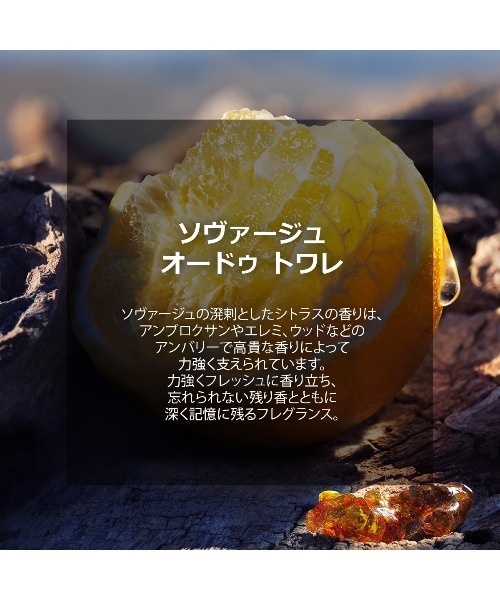 ソヴァージュ オードゥ トワレ(100mL)（香水）｜DIOR（ディオール）の