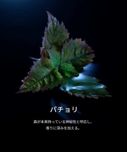 レプリカ オードパルファン ソウル オブ ザ フォレスト (30mL)（香水