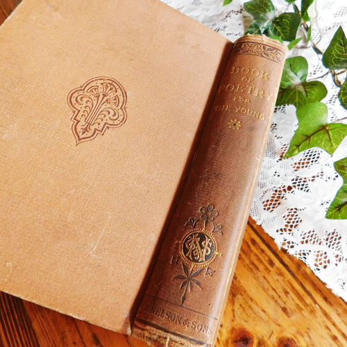 ゜..:。:.19世紀英国のヴィンテージ本3冊セット ブラウン ヴィンテージ