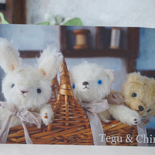 ぬいぐるみポストカード3枚セット ポストカード Tegu & Chiro 通販