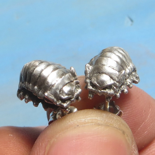 グソクムシのピアス ペア” ダイオウグソクムシ ピアス（スタッド・一粒