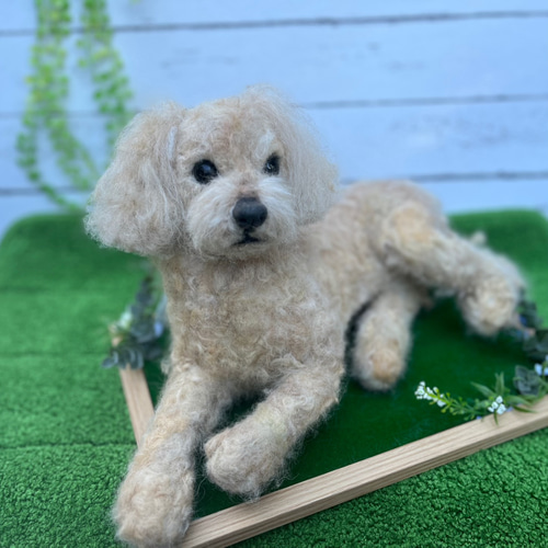 愛犬ちゃんオーダー 犬♡羊毛フェルト♡トイプードル♡世界でたった