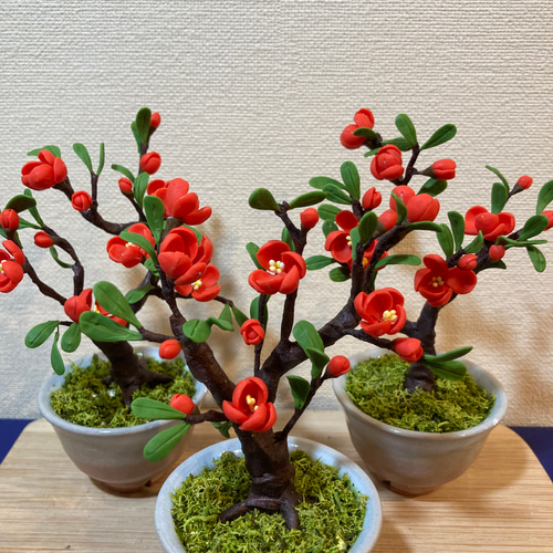 再販しました！》樹脂粘土製 ミニチュア盆栽〈木瓜〉 盆栽 AB-Hachi