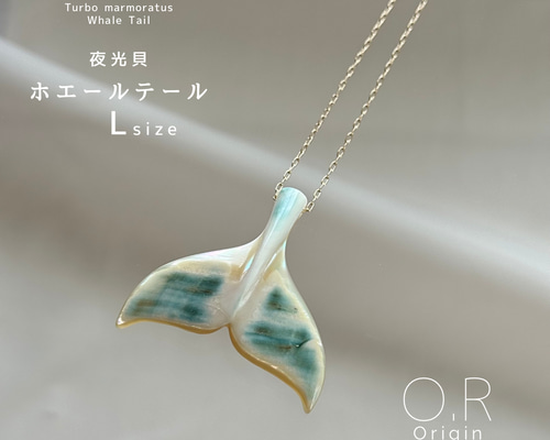 765ee1cf7c220cbfc764d8c5d34d92