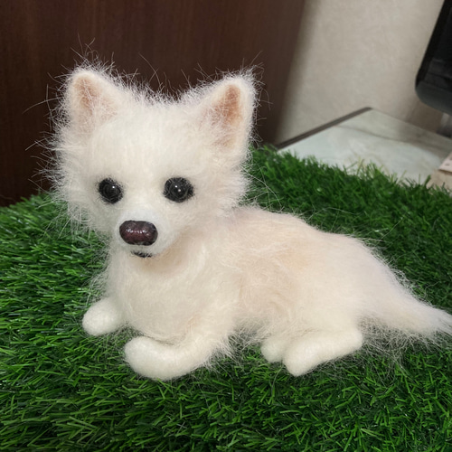 うちの子オーダー 受注制作 羊毛フェルト犬 チワワ 見本 羊毛フェルト
