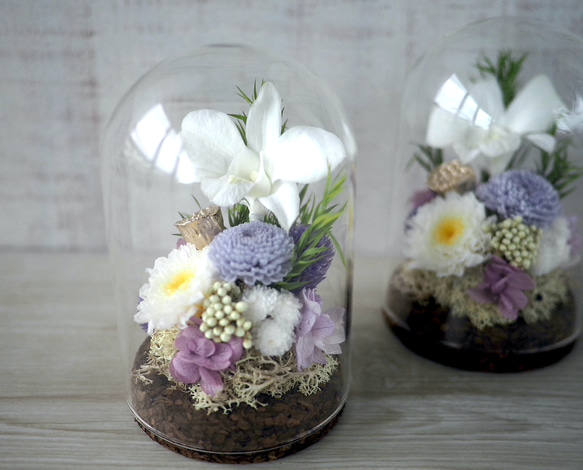 仏花)ガラスドーム -デンファレ パープル- プリザーブドフラワー QUEUE