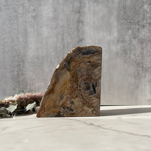 ペトリファイドウッド】ブックエンド（2872g）鉱物 天然石 樹木の化石