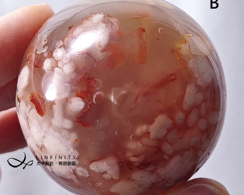 c94615a98504f7088c86719686d0b5