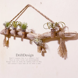 DriftDesign〜 流木とシーグラスの瓶詰めのお洒落なインテリアセット