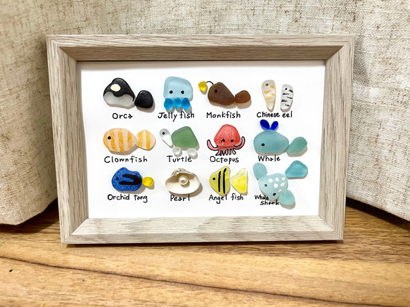 ☆シーグラスアート☆ No.35☆『図鑑シリーズ。海の生き物達』9 写真