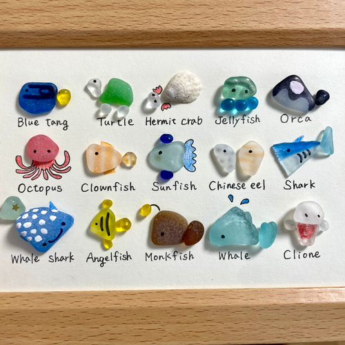 シーグラスアート☆No153 図鑑 ギフト プレゼント 父の日 海の生き物