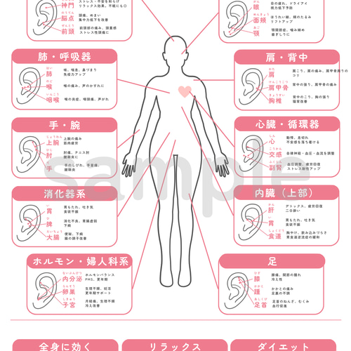 耳つぼジュエリー | 耳ツボ辞典vol.4 | 耳ツボマップ イヤリング